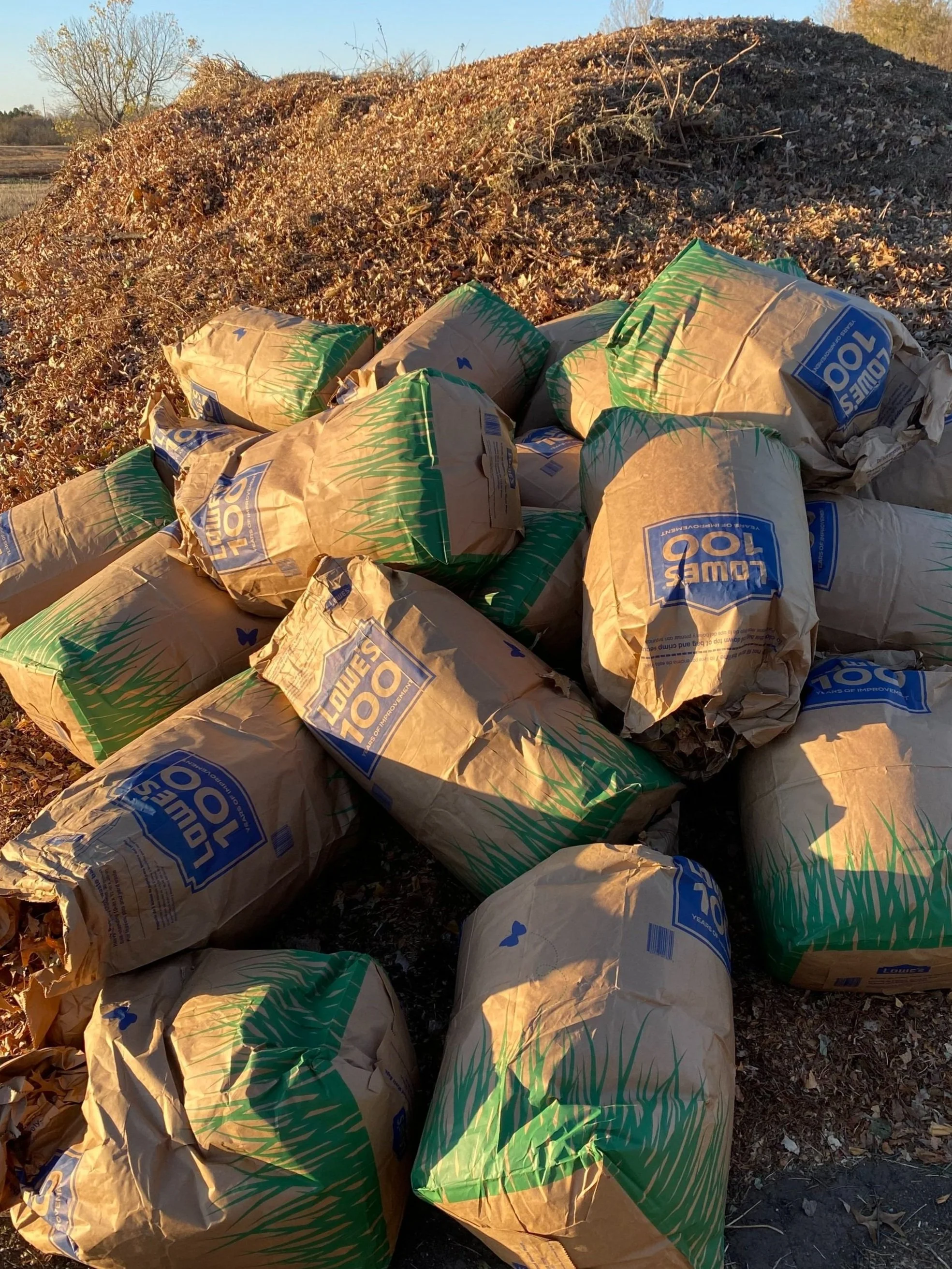 Yard waste removal - bags of leaves and yard debris with mulch piles